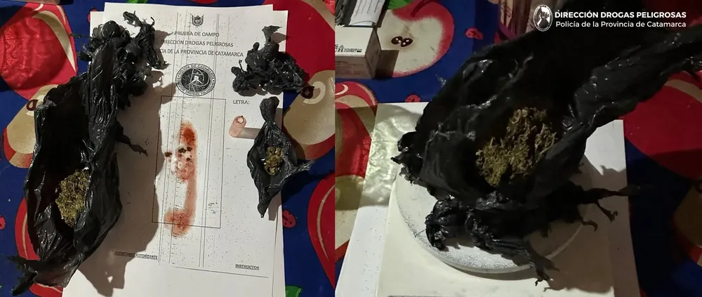 Dirección Drogas Peligrosas 2