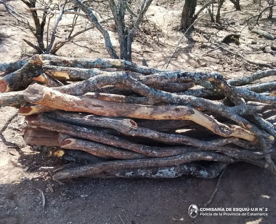 Secuestro Cria Esquiú