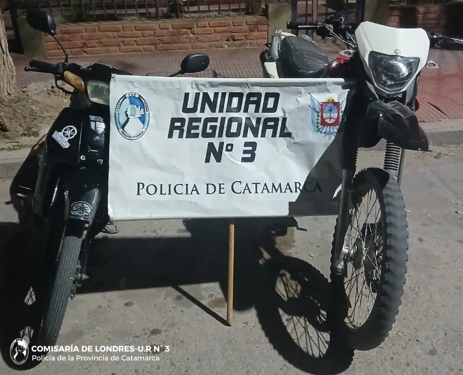 CONTROLES VEHICULARES (2)