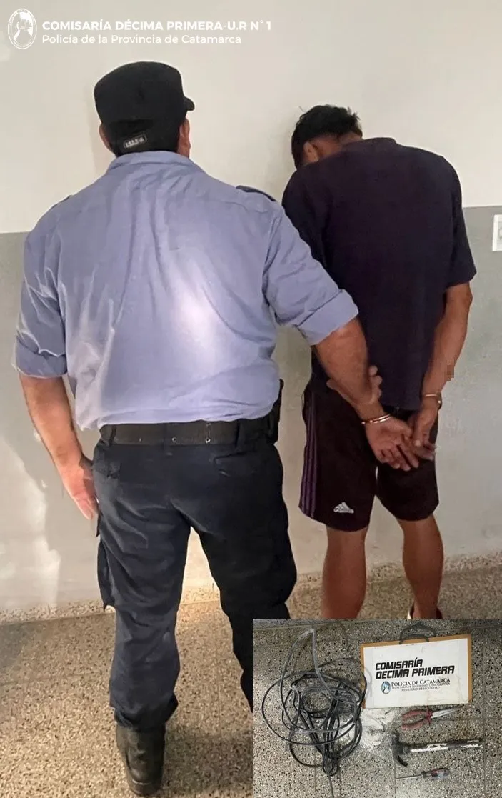 Cria. Décima Primera