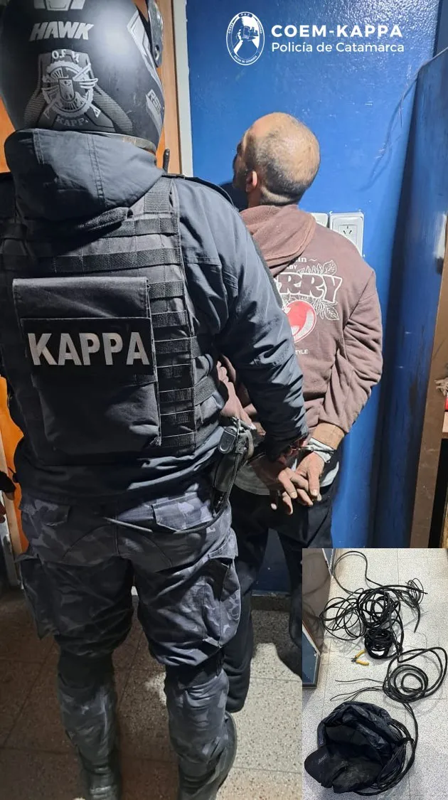 Cría. Séptima