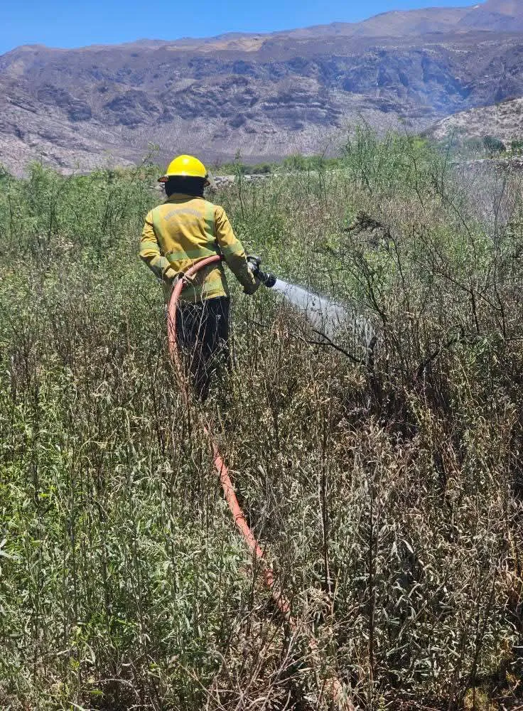 FB_IMG_1763513753860