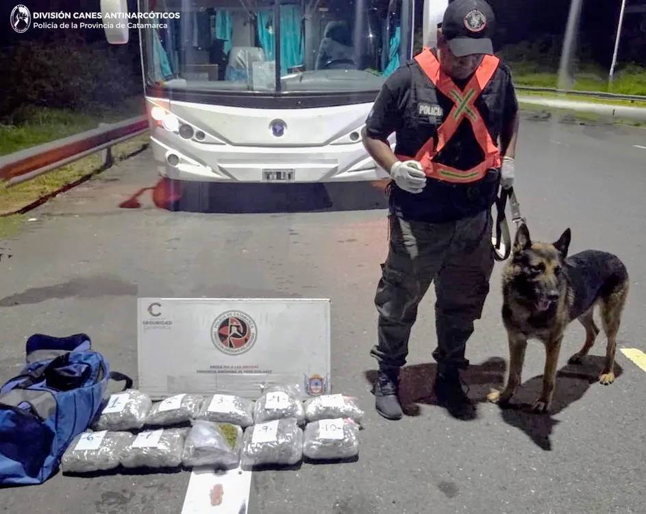 DIRECCIÓN DROGAS PELIGROSAS (1)