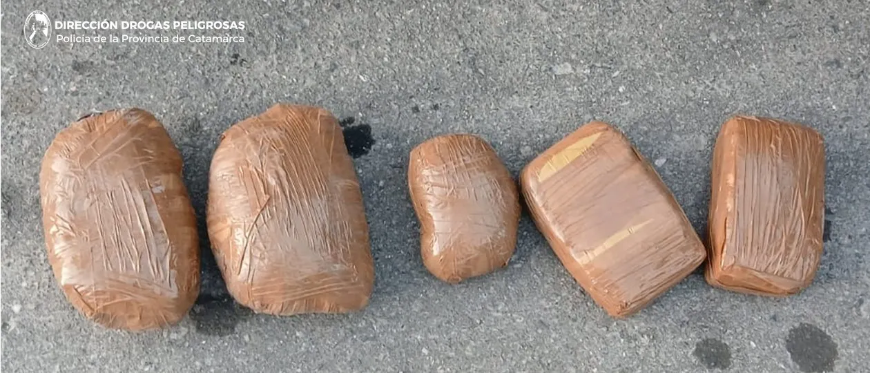 Dirección Drogas Peligrosas (3)