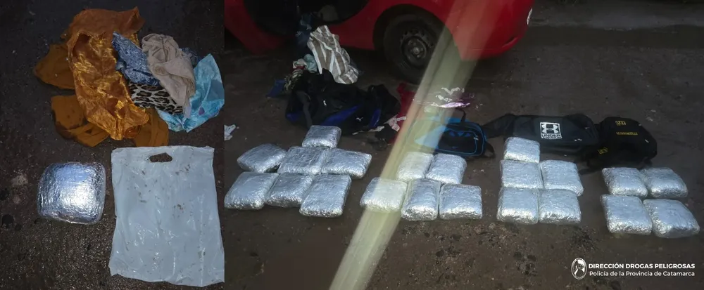 Dirección Drogas Peligrosas (02) (1)