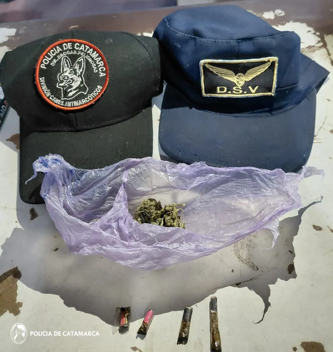 Secuestro Seguridad Vial-Droga