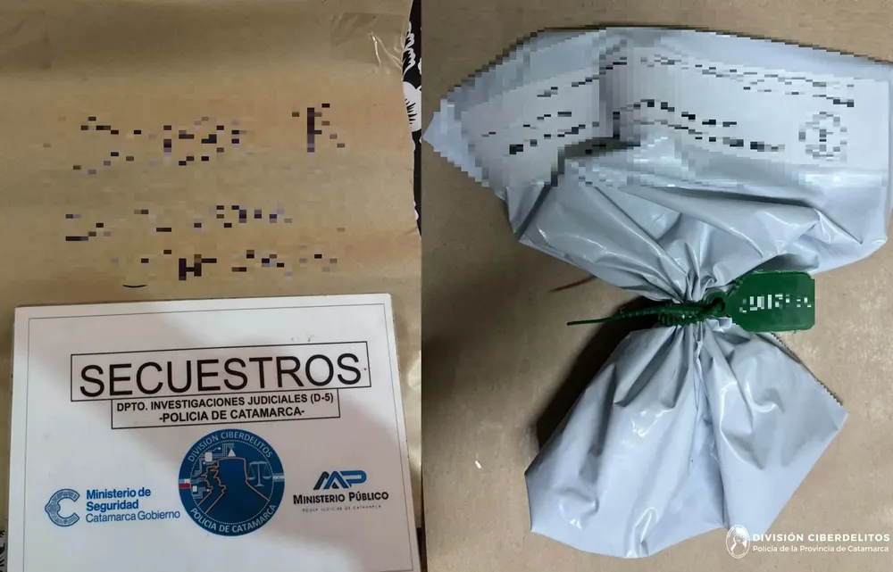 Div. Ciberdelitos (2)