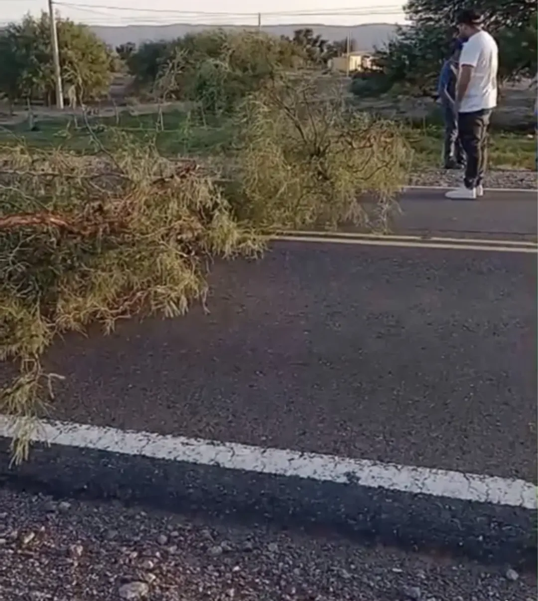 Screenshot_20260105_101609_Facebook