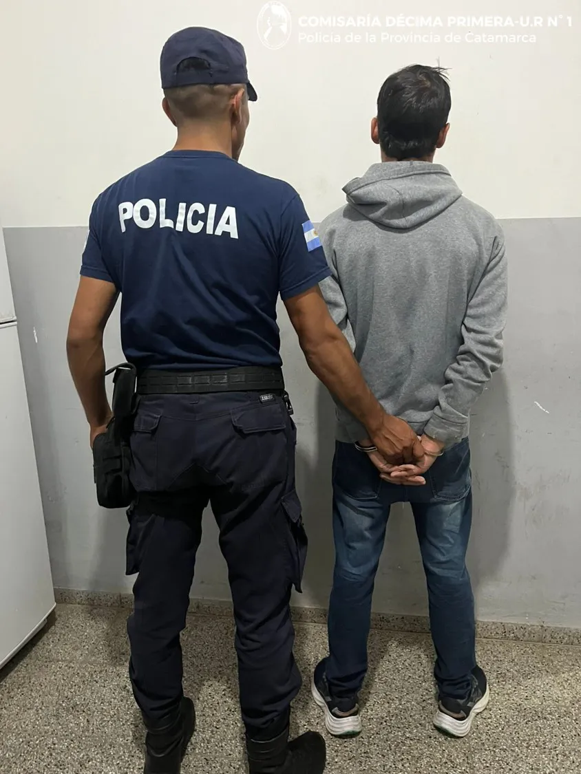 Cría. Décima Primera