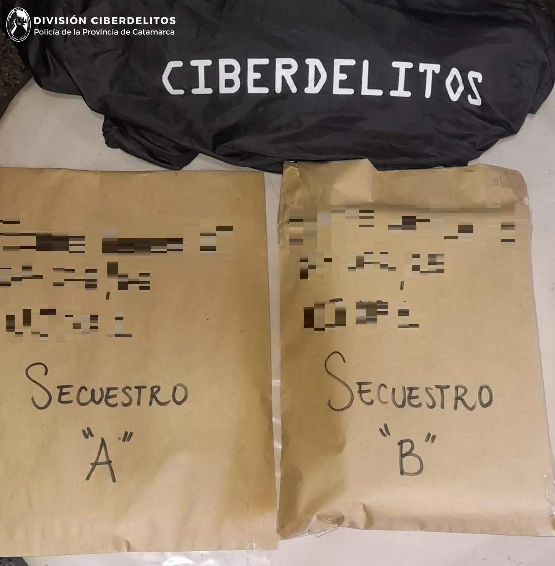 DIV. CIBERDELITOS (1)