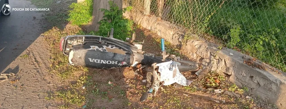 Cría. de San Antonio, FME.