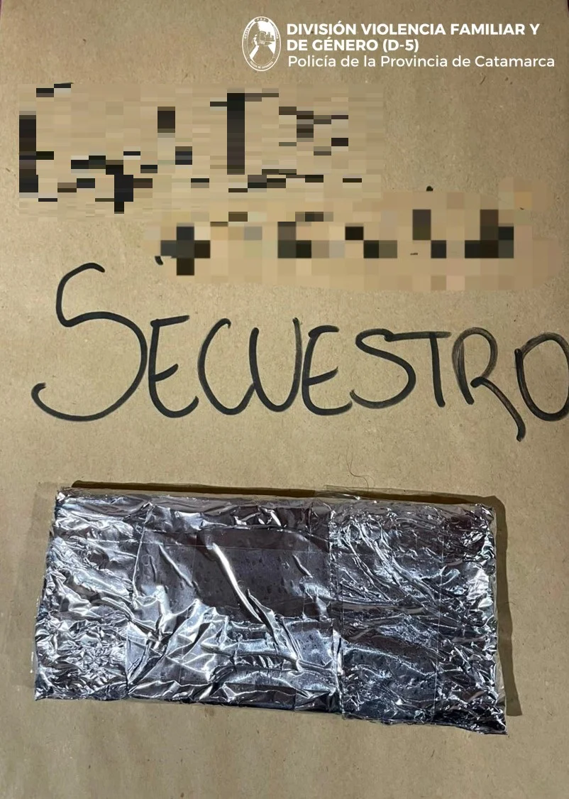 DIV. VIOLENCIA FAMILIAR Y DE GENÉRO