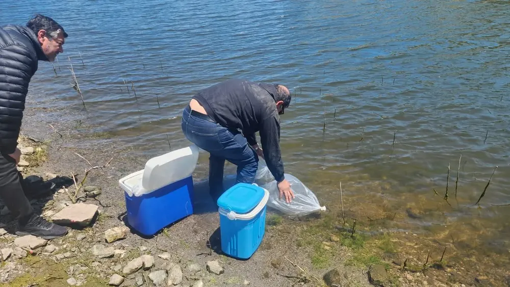 FB_IMG_1762954464754