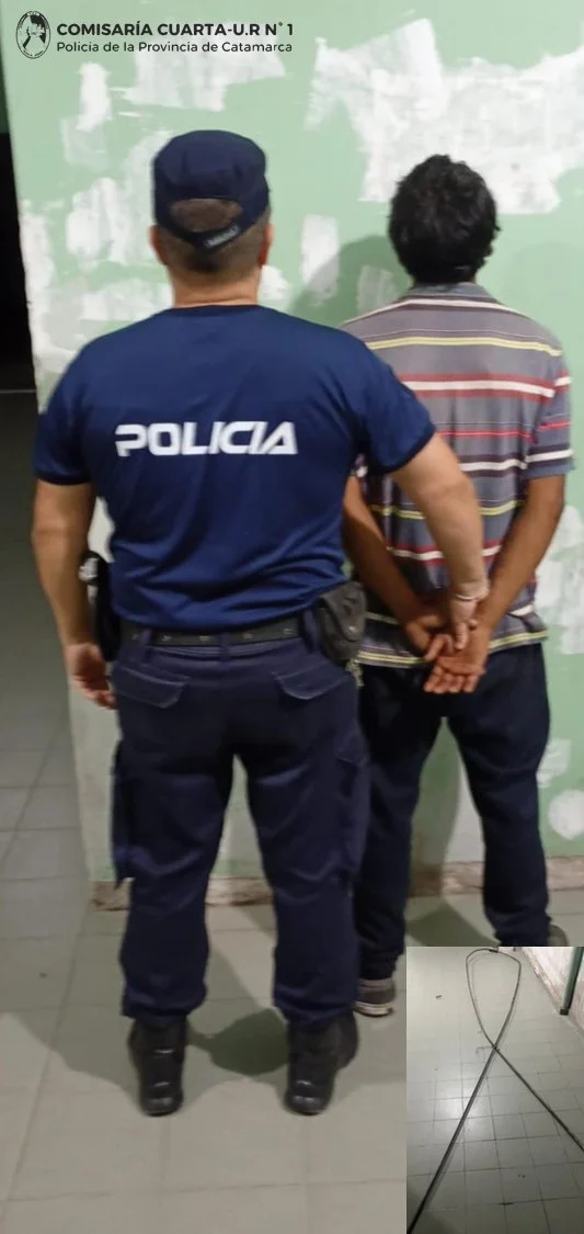 Cría. Cuarta-aprehensión lucena y secuestro