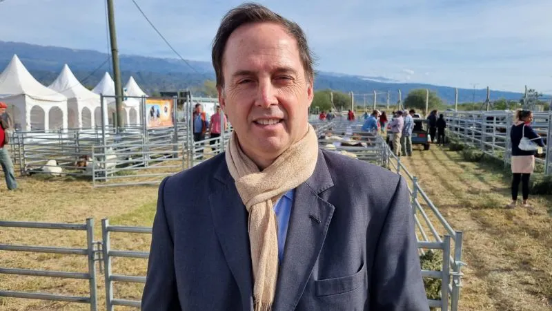 DALMACIO MERA