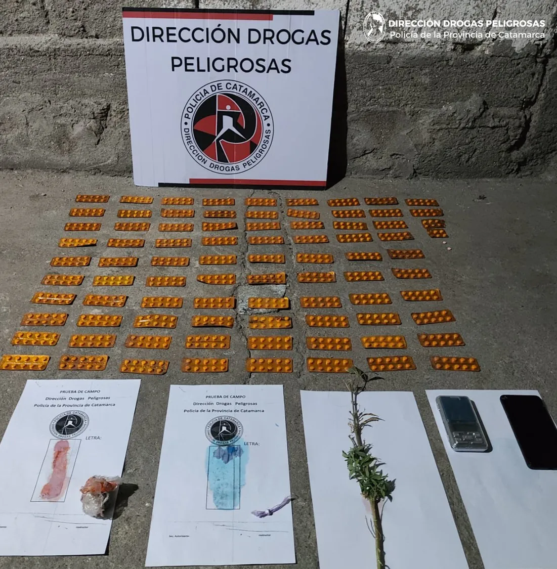 DIRECCIÓN DROGAS PELIGROSAS 1