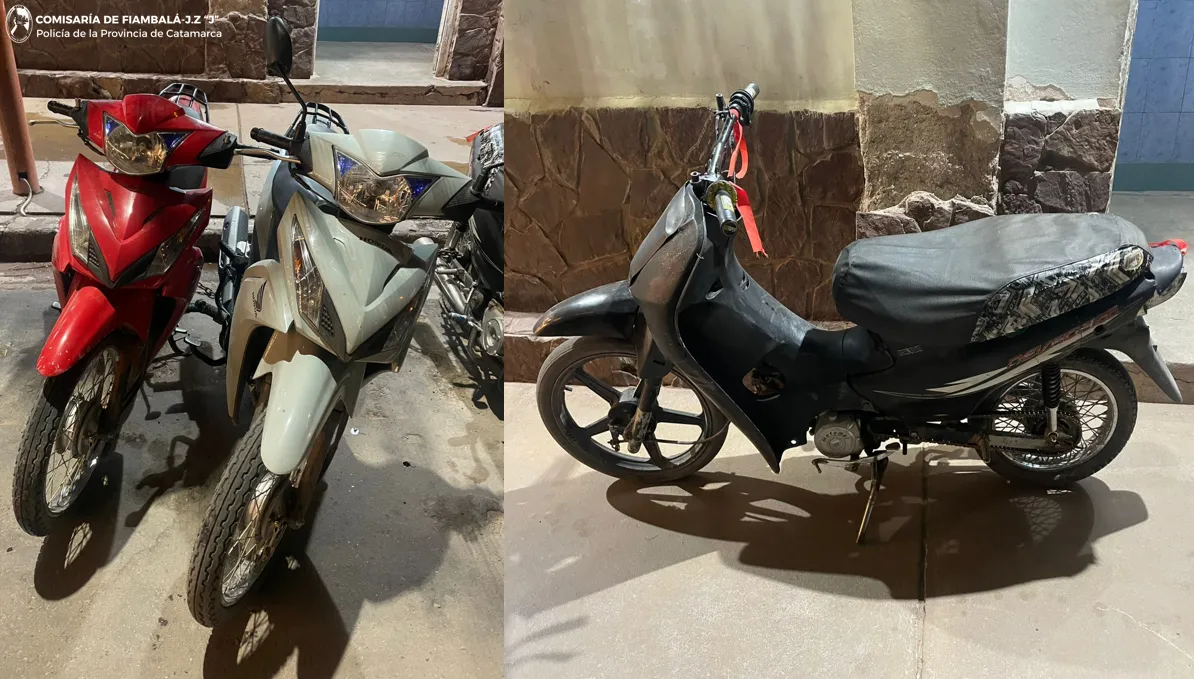 Controles vehiculares (1)