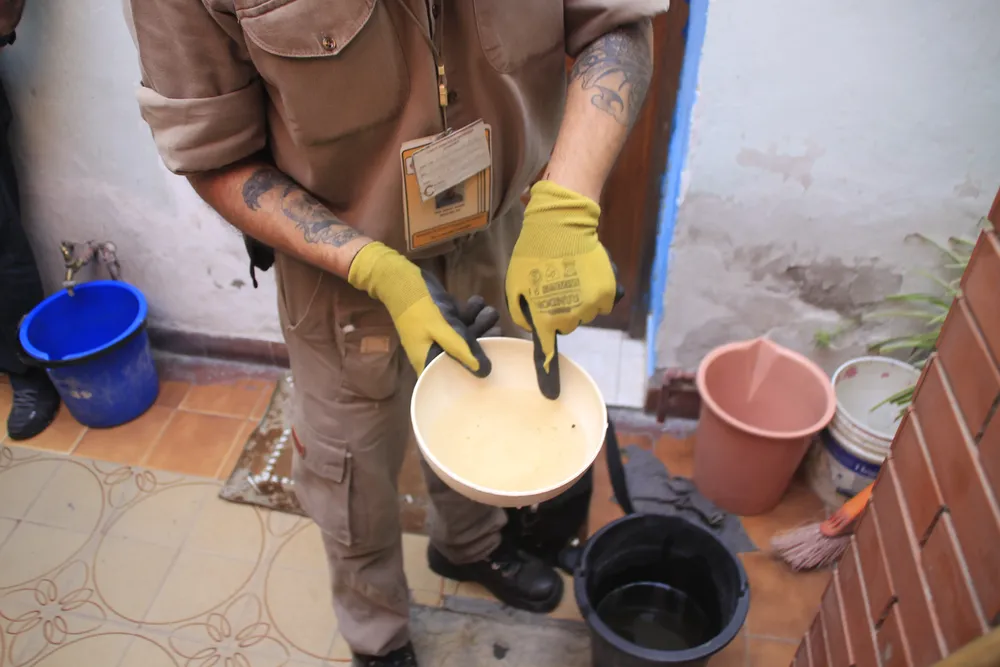 CONTROL FOCAL DENGUE (1)