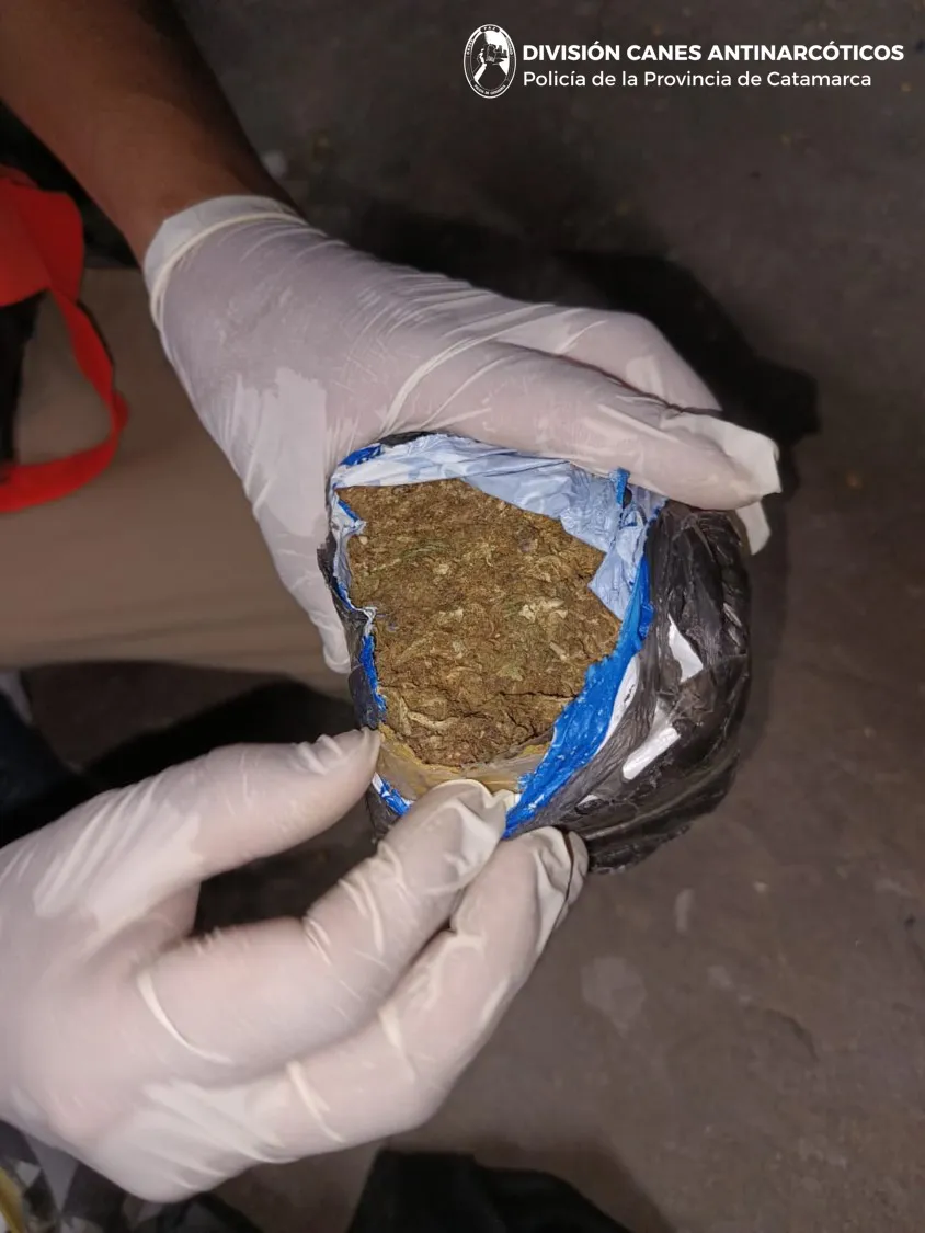 Dirección Drogas Peligrosas (2)