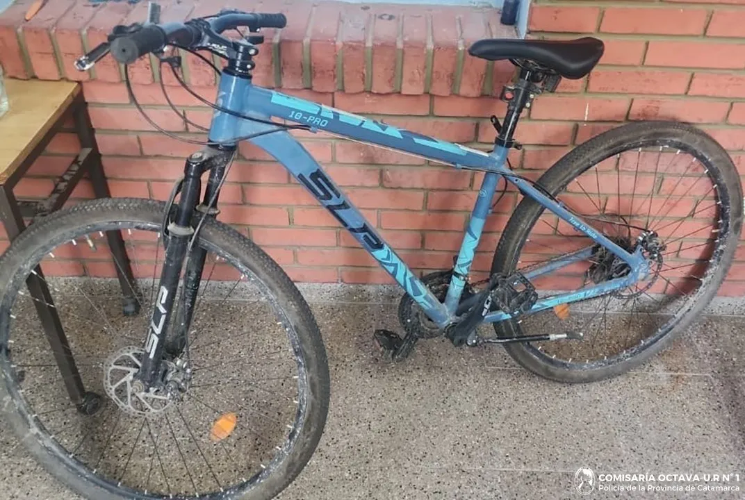 CEBALLES (2) - CRIA OCTAVA