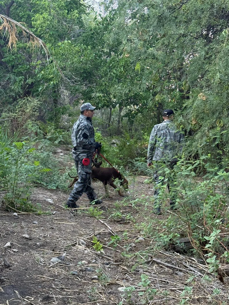 Operativo de búsqueda (10)