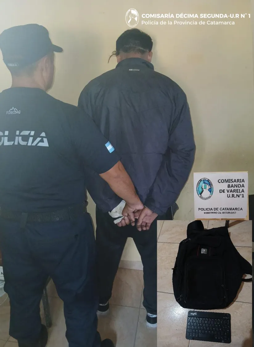 Cría. Décima Segunda