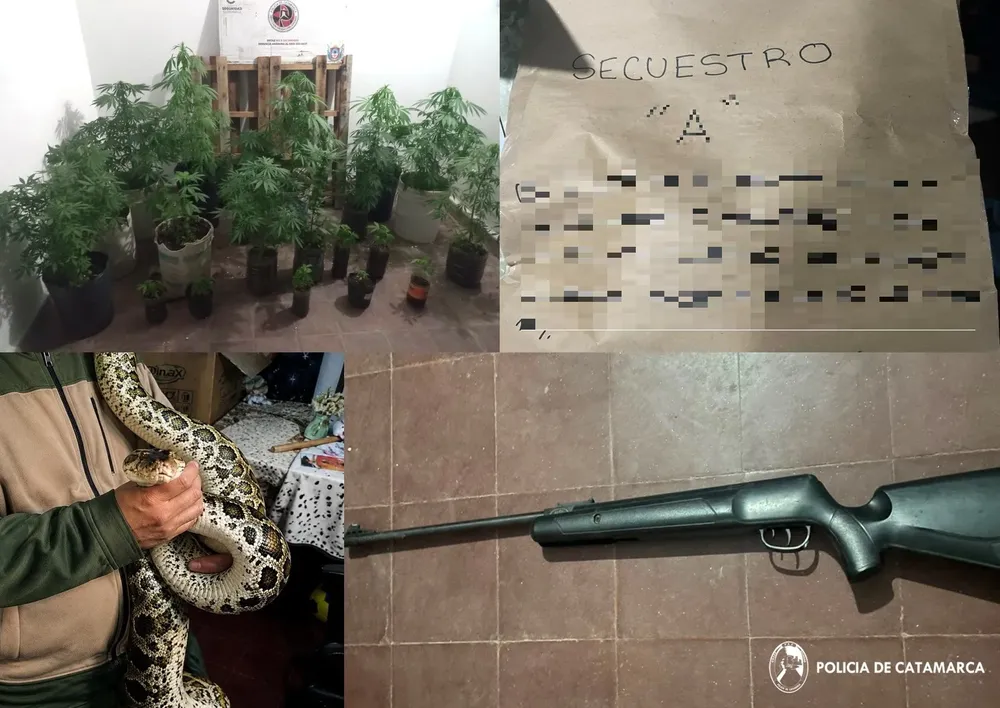 División Violencia de Género (02).jpg