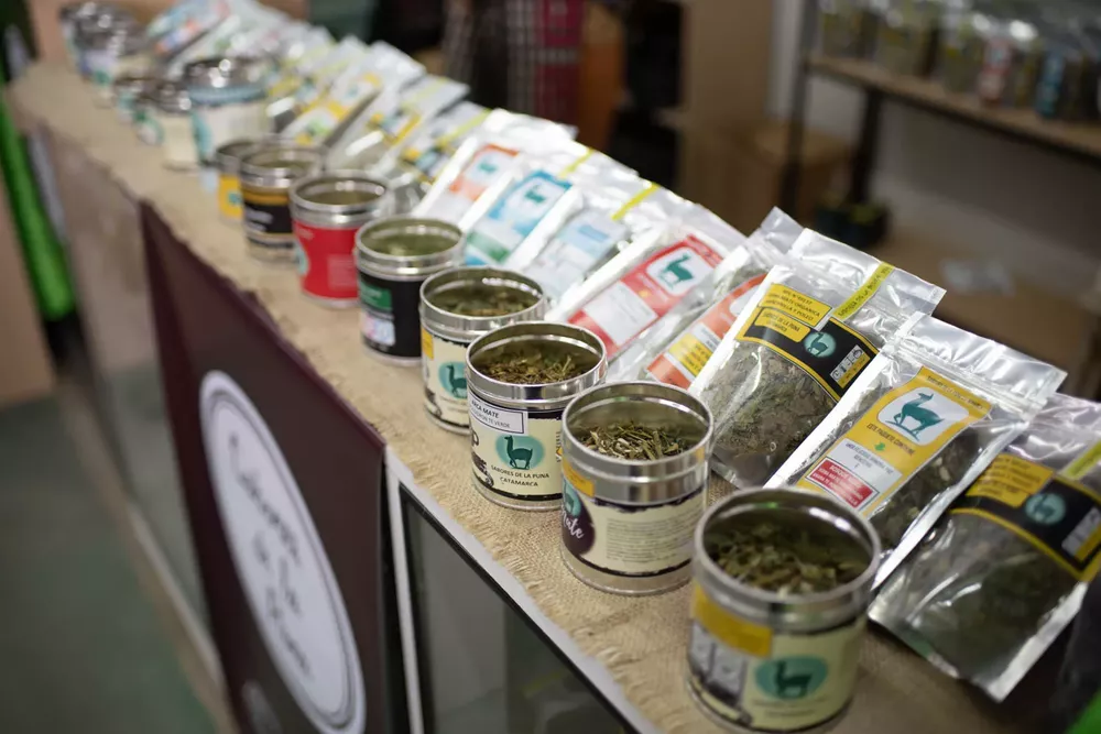 294024618_581259927003580_6379084817695637596_n