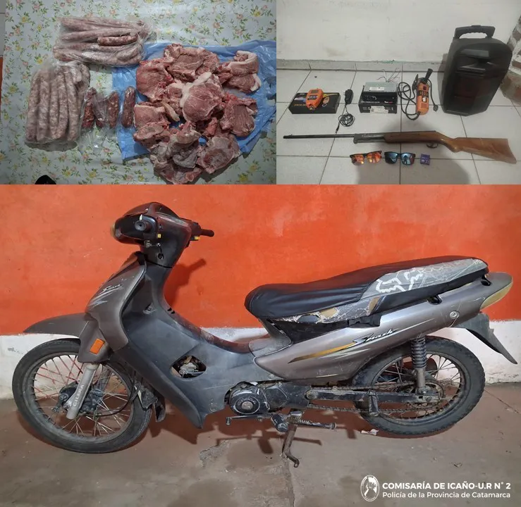 MARIN - CRIA ICAÑO.jpg