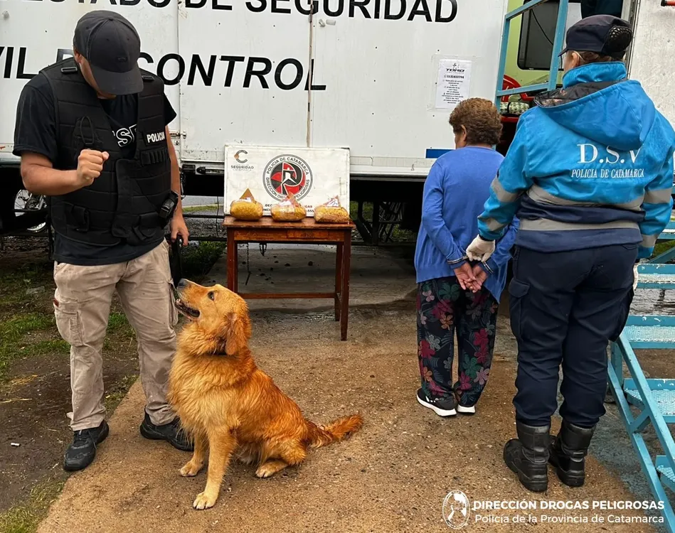 Dir. Drogas Peligrosas (1)