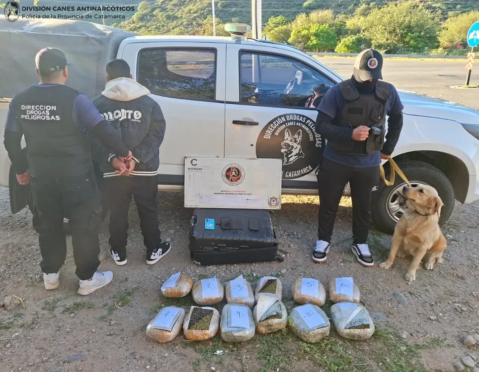 División Canes Antinárcotivos 