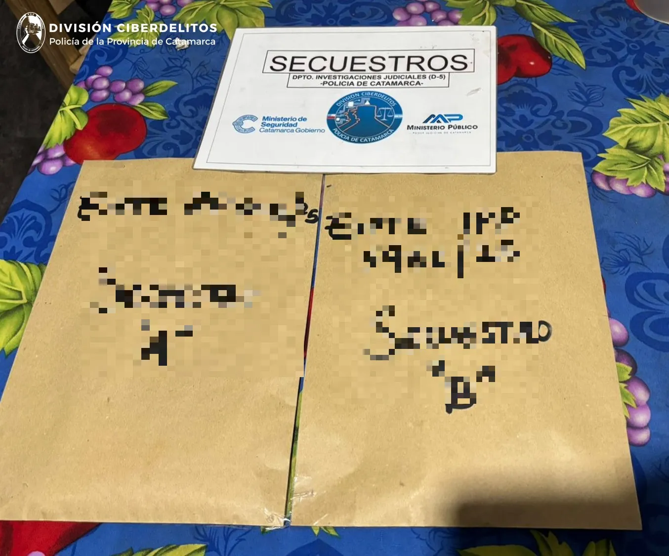 Div. Ciberdelitos (1)