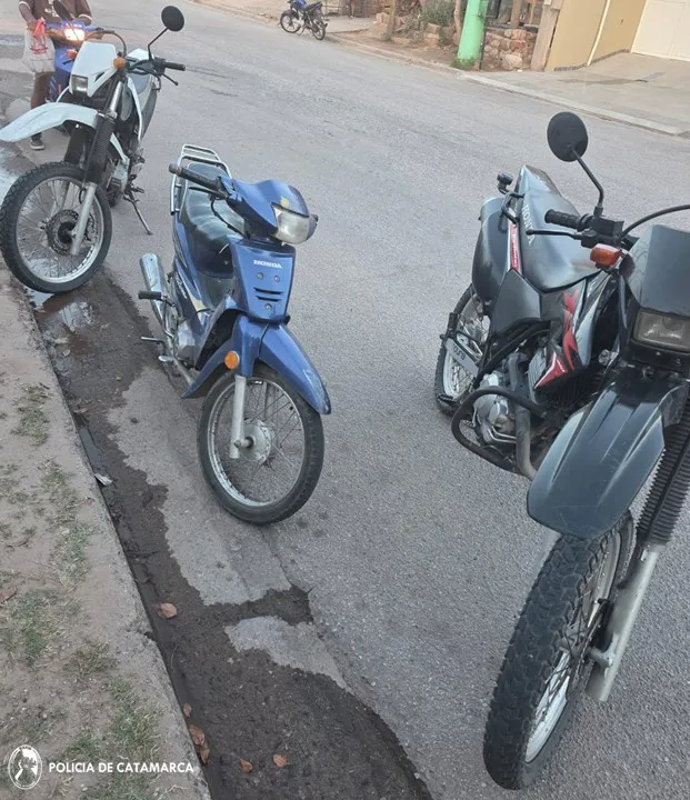 CONTROL VEHICULAR (5)