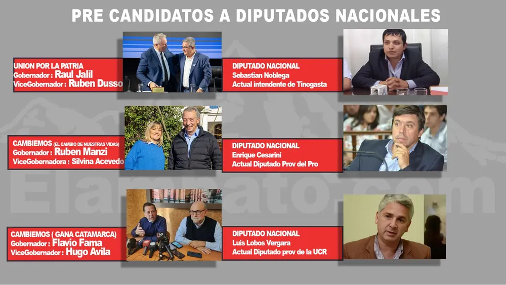 EL AMBATO DIPUTADOS NACIONALES
