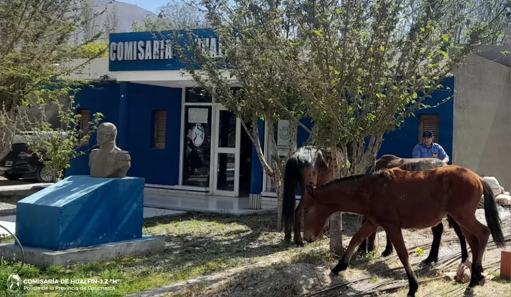 Comisaría Hualfin
