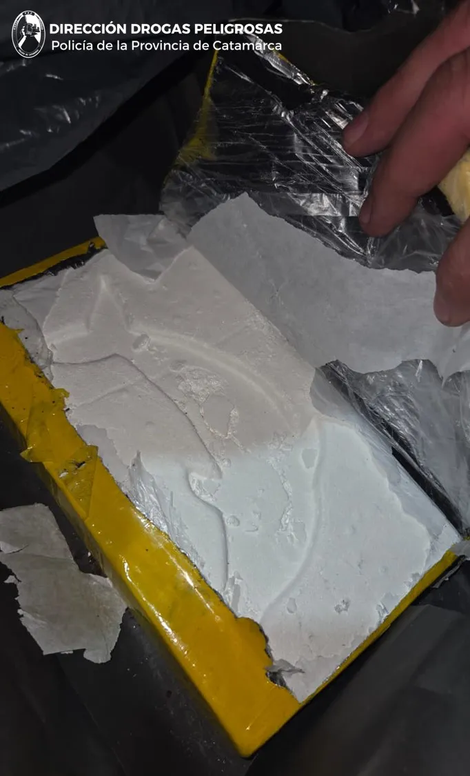 Dirección Drogas de la Policía (03)