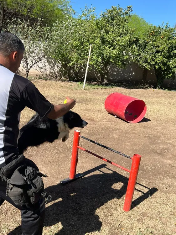 Exhibición Div. Canes (7)