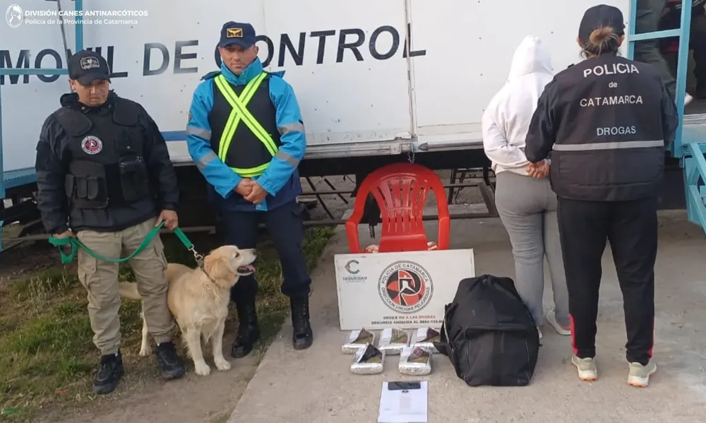 DIV. CANES ANTINARCOTICOS