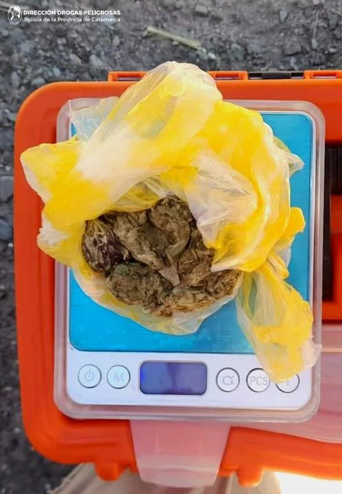 Drogas Peligrosas