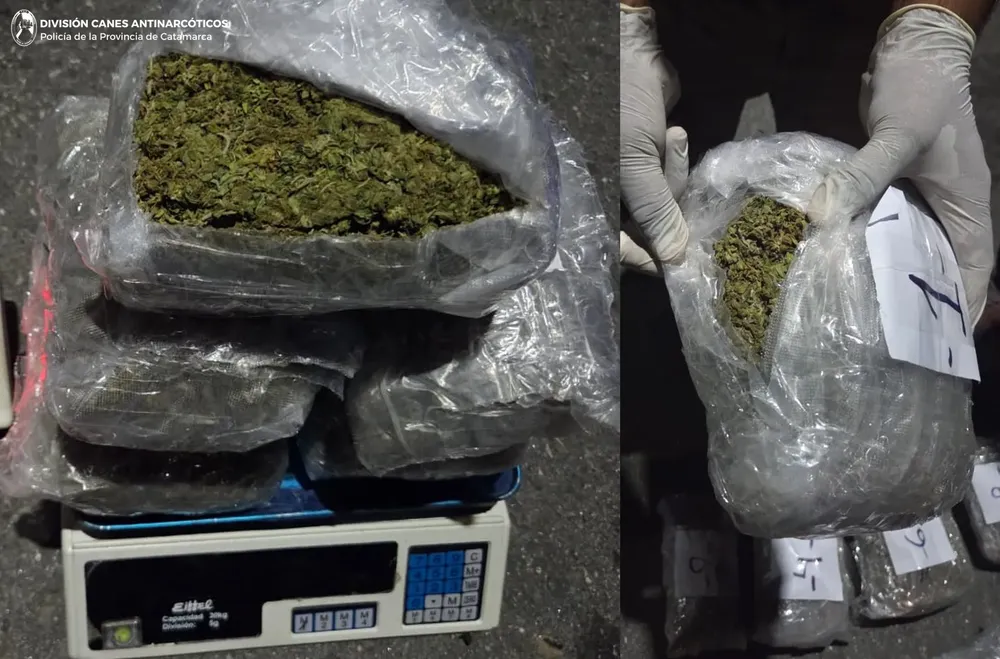 DIRECCIÓN DROGAS PELIGROSAS (3)