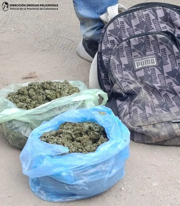 REGISTRO - DROGA.jpg