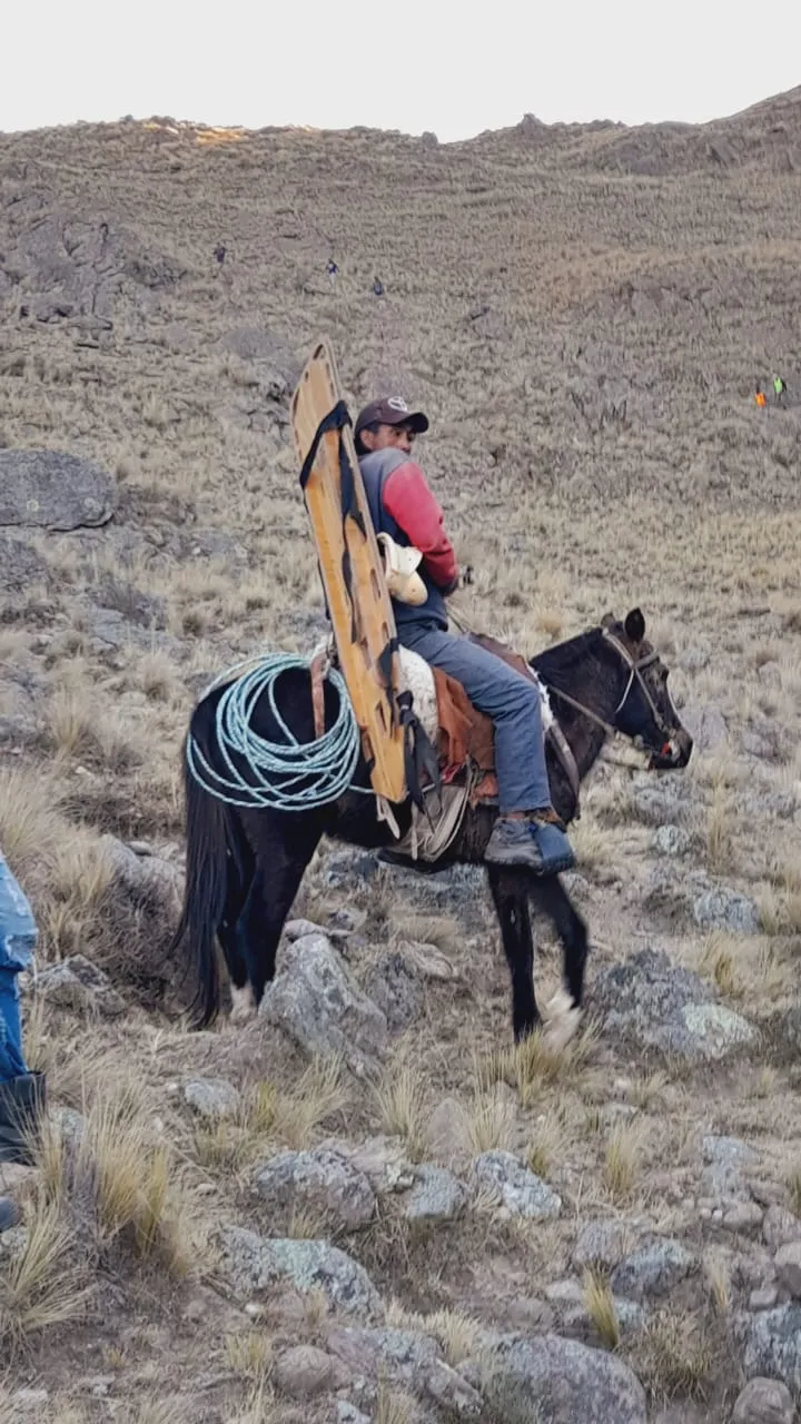 Rescate (2)
