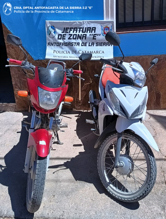 controles vehiculares (1)