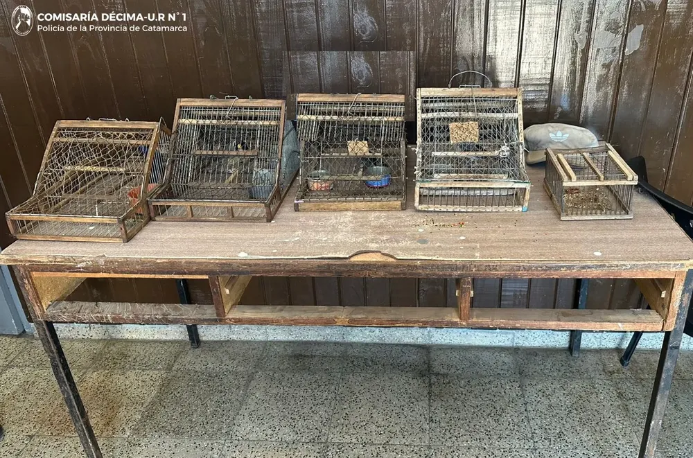 Secuestro  aves Cria 10