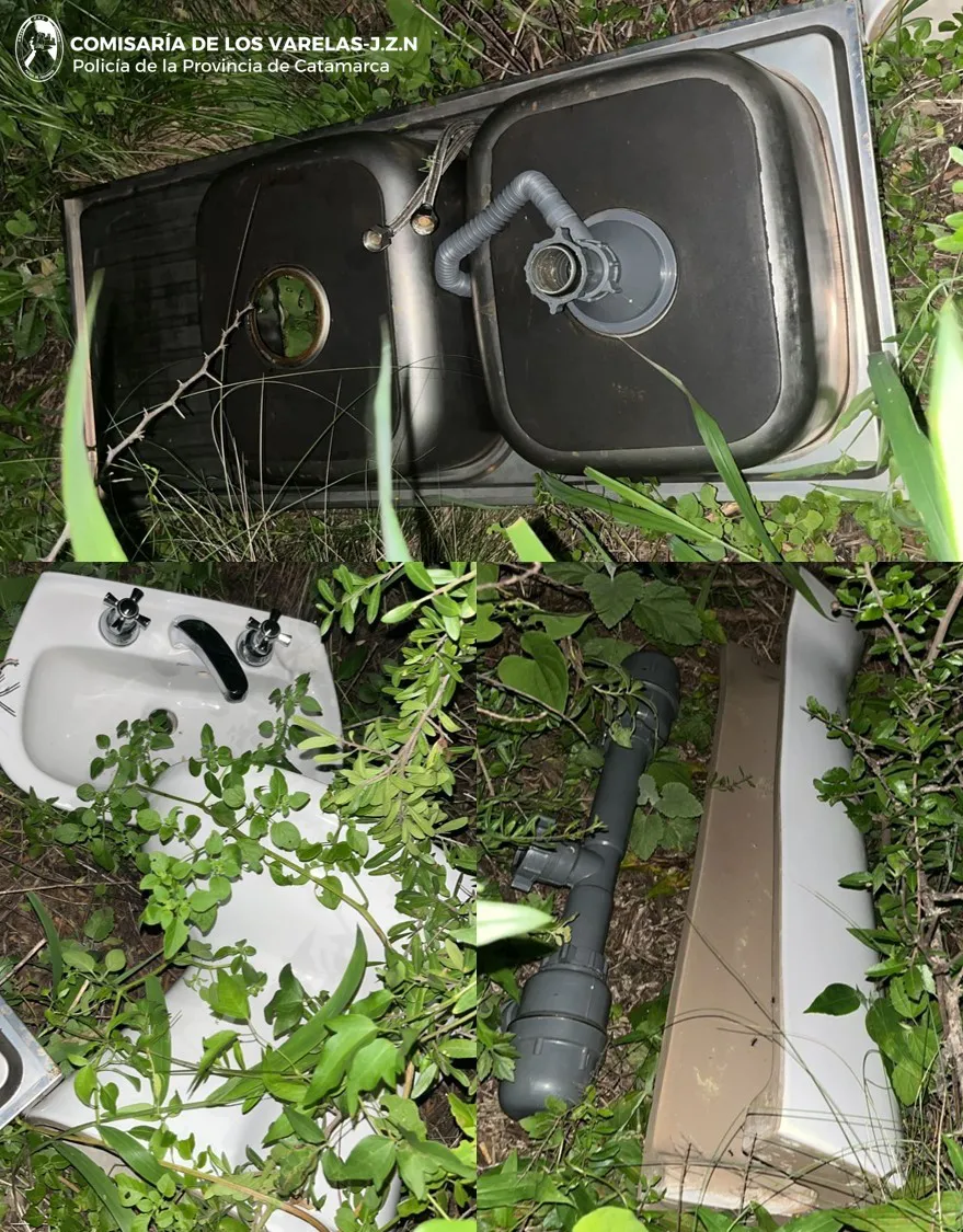 CRIA. EL RODEO Y DPTAL. LOS VARELAS (2)