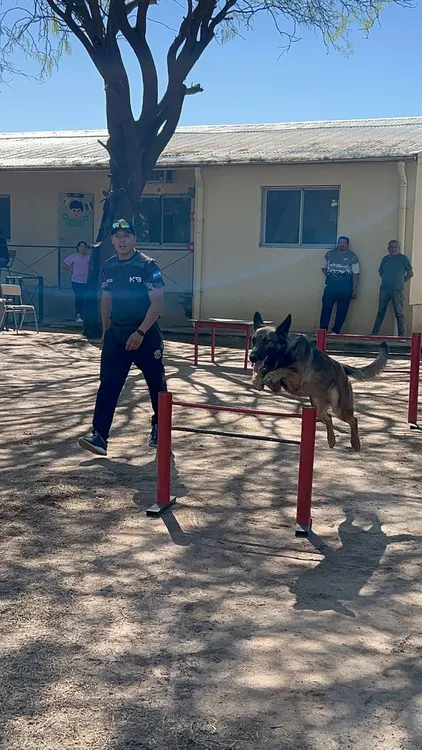 Exhibición Div. Canes (5)