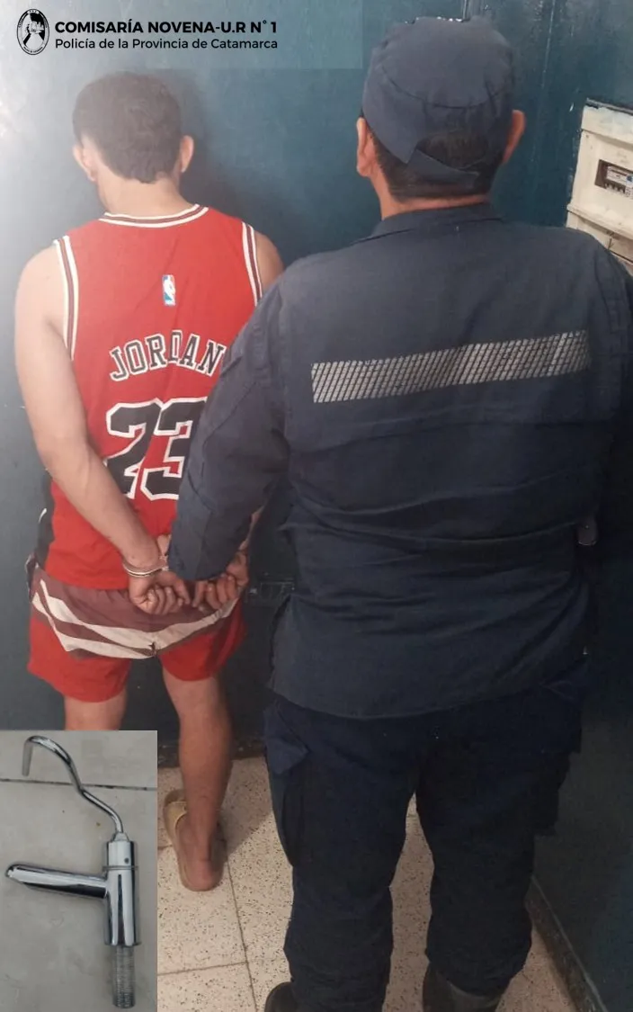 Aprehensión y Secuestro Cria 9.jpg