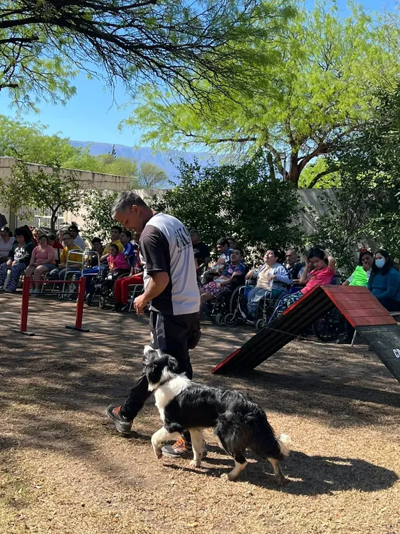 Exhibición Div. Canes (8)