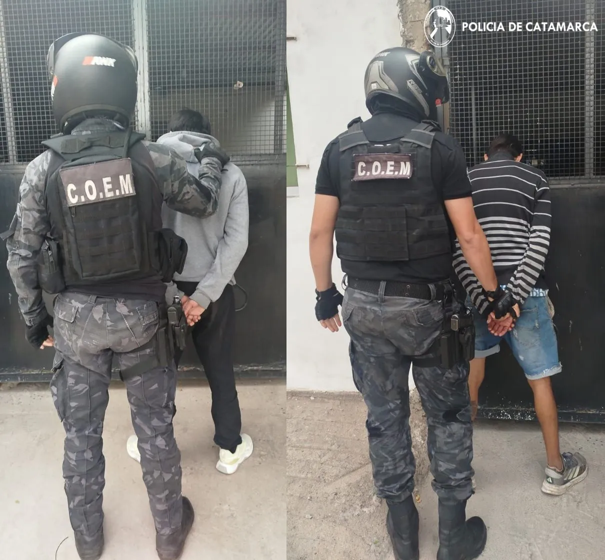 A.I.C.F Kappa- Cria. Séptima