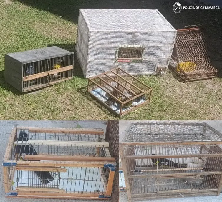 FB_IMG_1767619219526